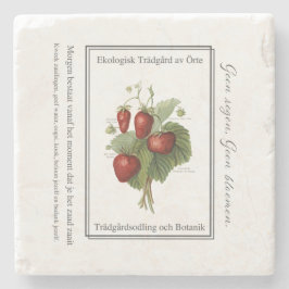 Strawberry seedling is a Christmas tree ストーンコースター