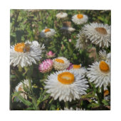 Strawflowers タイル (正面)