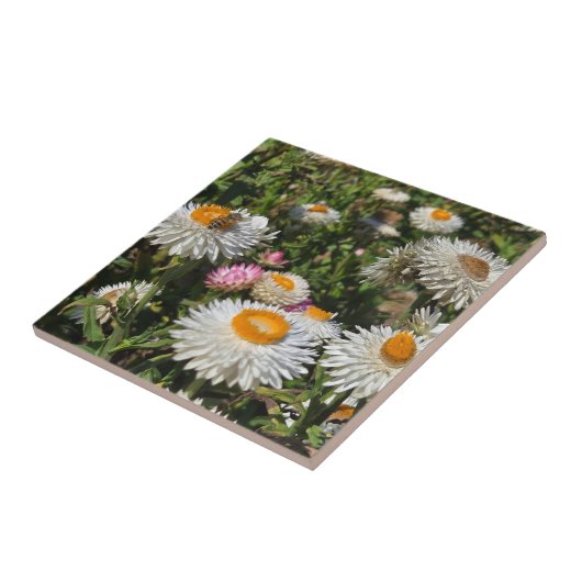 Strawflowers タイル (側面)