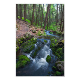 Stream Along the Trail  フォトプリント