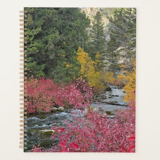 Stream Blooms Planner プランナー手帳 (正面)