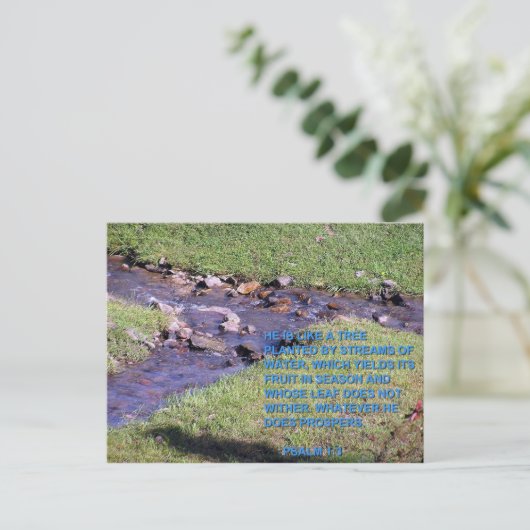 STREAMS ポストカード (スタンド正面)