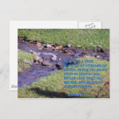 STREAMS ポストカード (正面/裏面)