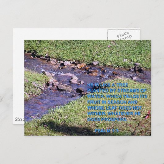 STREAMS ポストカード (正面/裏面)