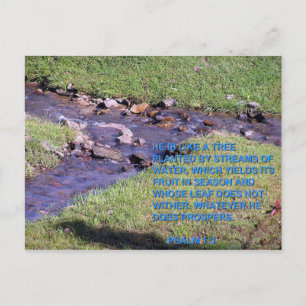 STREAMS ポストカード