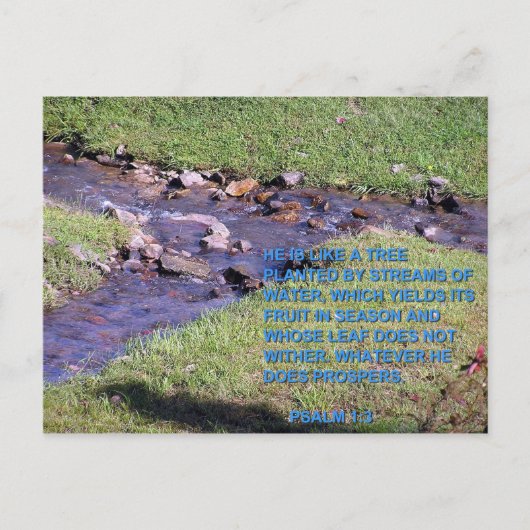 STREAMS ポストカード (正面)