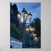 Street lamps at night, Germany ポスター (正面)