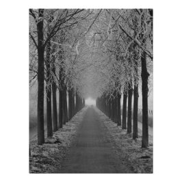 Street winter ポスター