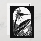 Strelitzia吹き飛ばし – 白黒のヴィンテージアート ポストカード (正面/裏面)