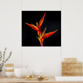 Strelitzia、パラダイスフラワーの鳥 ポスター (キッチン)