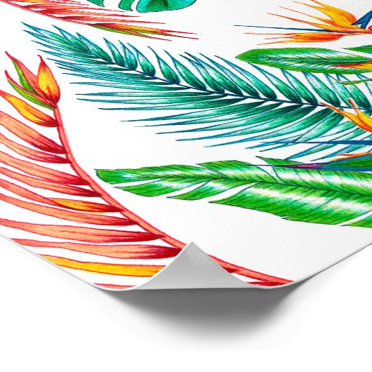 Strelitzia – 楽園の鳥 ポスター (角)