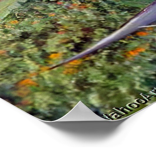 Strelitzia by Marianne North – エキゾチックな風景 ポスター (角)