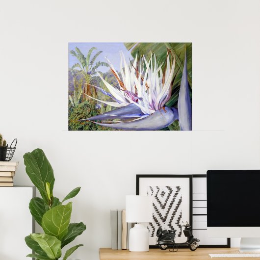 Strelitzia by Marianne North – エキゾチックな風景 ポスター (ホームオフィス)