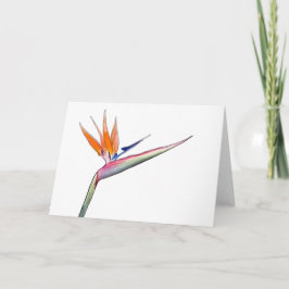 Strelitzia Card シーズンカード