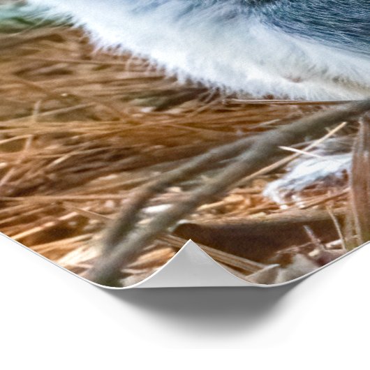 Stretch  ポスター (角)