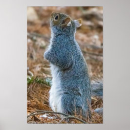 Stretch  ポスター