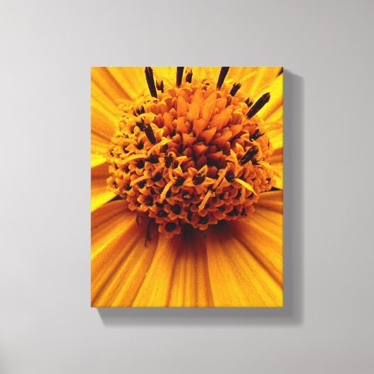 Stretched Canvas Print キャンバスプリント (正面)