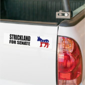 STRICKLAND 2010年 バンパーステッカー (トラック上)
