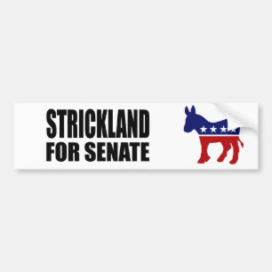 STRICKLAND 2010年 バンパーステッカー