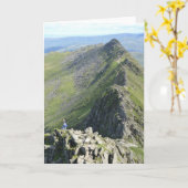 Striding Edge - English Lake District カード (黄色い花)