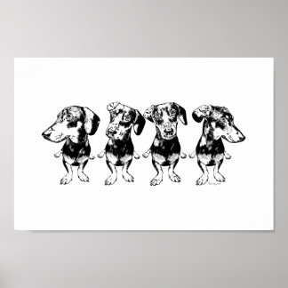 'Strike A Pose Dex' Flippy Ear Dex Art Print ポスター