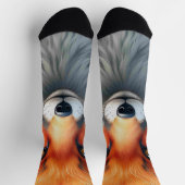 Striking Eyes of a Cunning Red Fox   ソックス (上部)