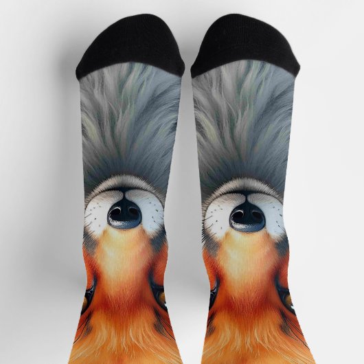 Striking Eyes of a Cunning Red Fox   ソックス (上部)