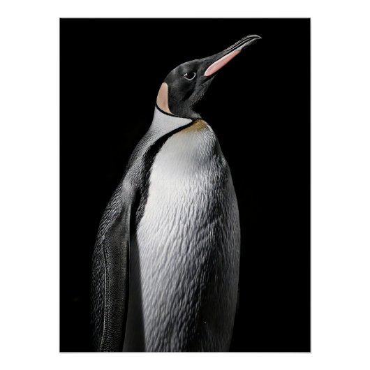  Striking High Contrast Emperor Penguin Fine Art  ポスター (正面)