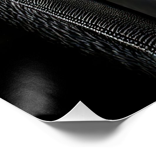  Striking High Contrast Emperor Penguin Fine Art  ポスター (コーナー)