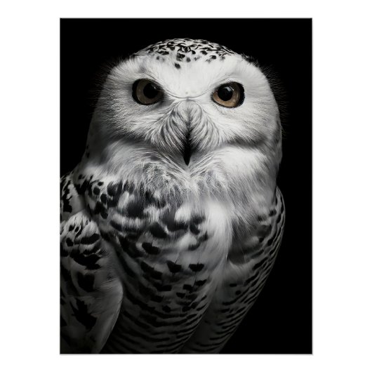 Striking Snowy Owl Fine Art Print | High Contrast ポスター (正面)