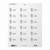 String of Pearls Succulent ラベル (フルシート)