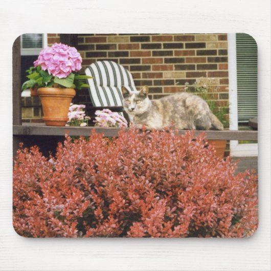 Strinka マウスパッド (正面)