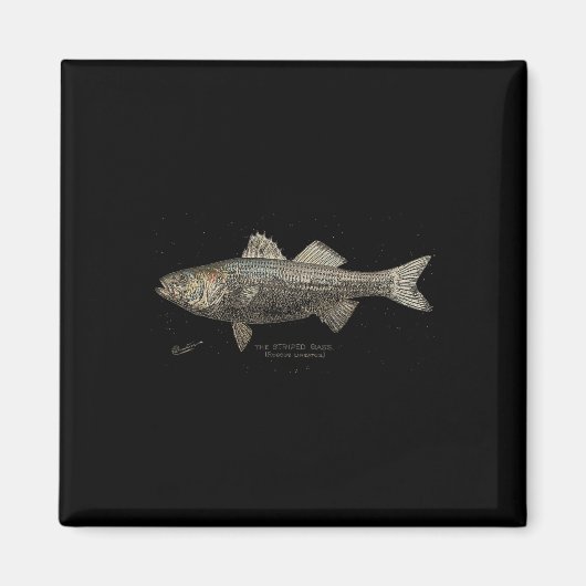 Striped B Fishing  マグネット (正面)