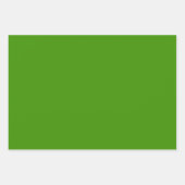 Striped Grass Green and Denim Blue Wrapping Paper ラッピングペーパーシート (正面3)