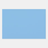 Striped Grass Green and Denim Blue Wrapping Paper ラッピングペーパーシート (正面2)