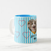 Striped pastel cat mum ツートーンマグカップ (正面左)