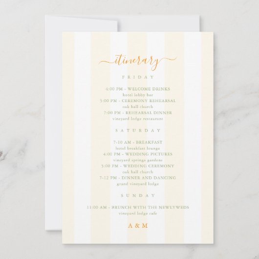 Stripes Wedding Welcome Letter Itinerary Card 招待状 (裏面)