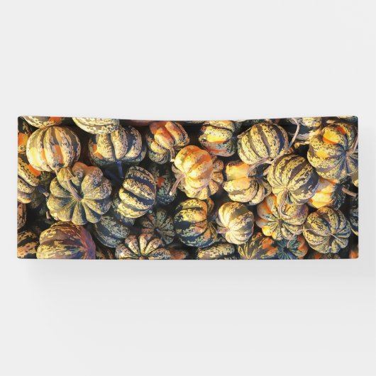 Stripey Pumpkins Cluster  横断幕 (横)