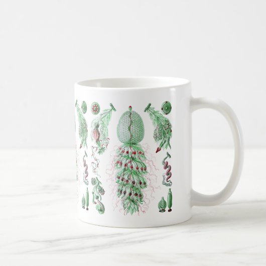 Strobalia コーヒーマグカップ (右)