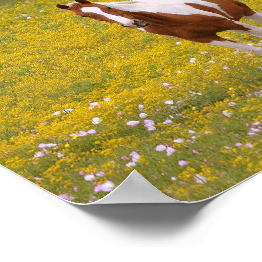 Strong Sweet Horse and Scripture 2 Timothy 1:7 ポスター (角)