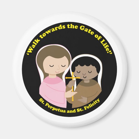 Sts永続とフェリシティ マグネット (正面)