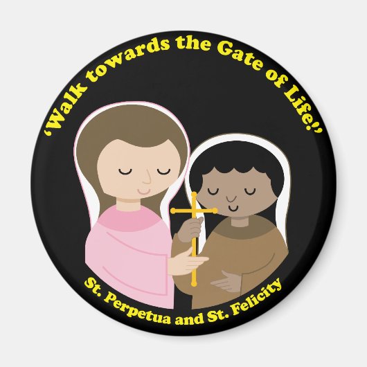 Sts永続とフェリシティ マグネット (正面)