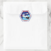 STS-6 INSIGNIA ラウンドシール (バッグ)