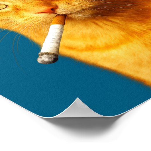 Stud Cool Funny Cat Meme Smoking Cat Cigarette  ポスター (角)