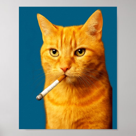 Stud Cool Funny Cat Meme Smoking Cat Cigarette ポスター (正面)