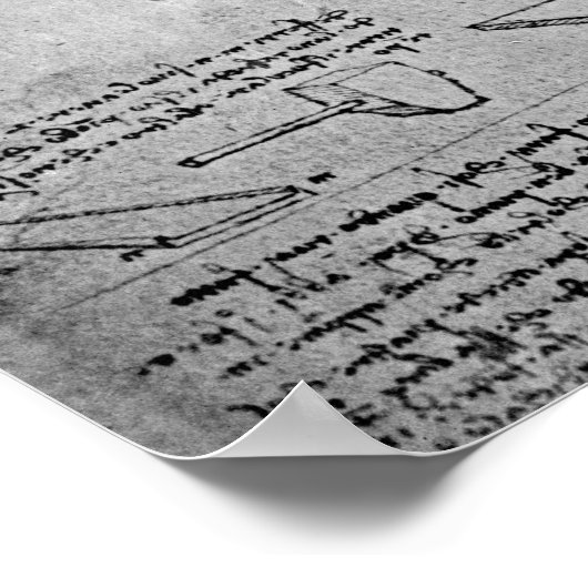 Studies of Violas ポスター (角)