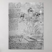 Studies of Violas ポスター (正面)