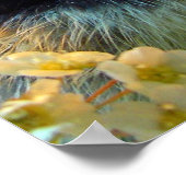 Studio Settingでシルバーレースコッチチョック ポスター (角)