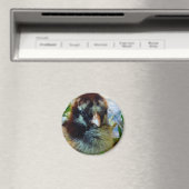 Studio Settingでシルバーレースコッチチョック マグネット (インサイチュ (食洗機))