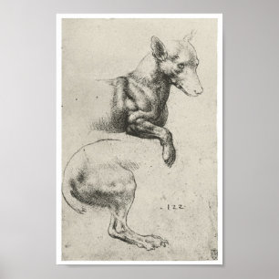 Study of a Dog, Leonardo Da Vinci ポスター